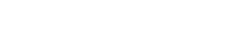 Example